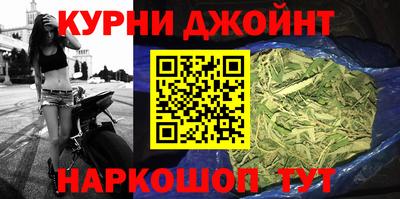 шишки Обь