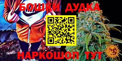 молекула духа Нягань