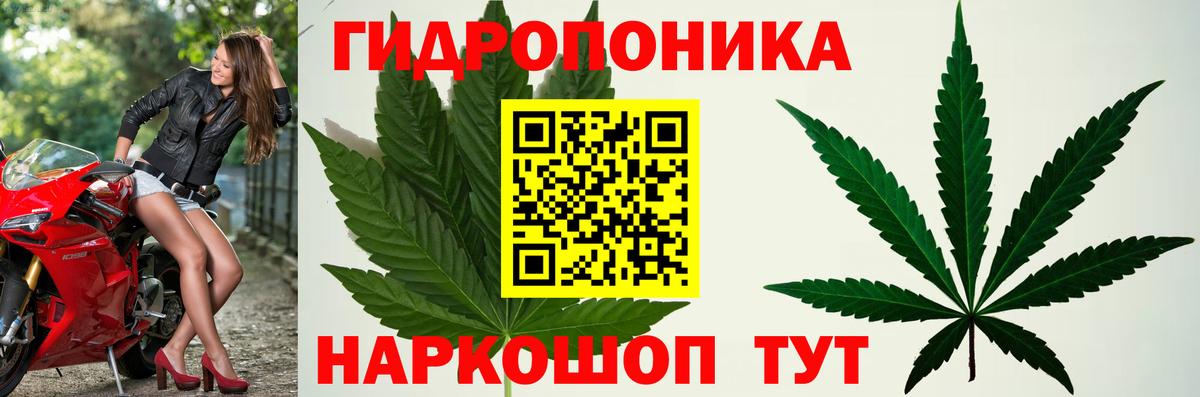 Каннабис семена  Вход с VPN  Новоалтайск  Канабис сатива  Бошки Шишки White Widow 